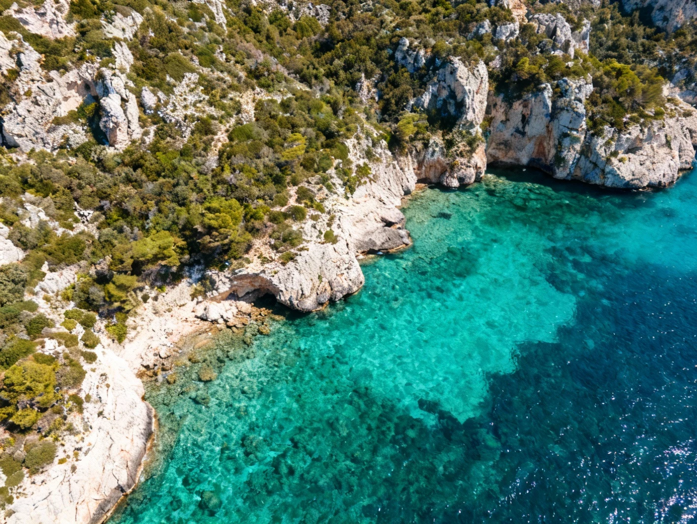 Les aires marines protégées en France : un réseau essentiel pour la biodiversité